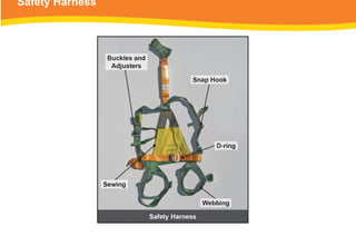 Safety Harness
 
