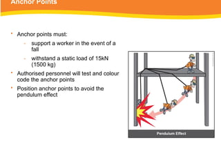Anchor Points
• Anchor points must:
‑ support a worker in the event of a
fall
‑ withstand a static load of 15kN
(1500 kg)
• Authorised personnel will test and colour
code the anchor points
• Position anchor points to avoid the
pendulum effect
 