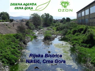 Rijeka Bistrica Nikšić, Crna Gora 