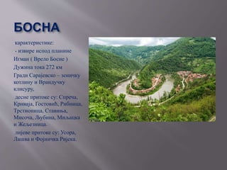 БОСНА
-карактеристике:
-- извире испод планине
Игман ( Врело Босне )
Дужина тока 272 км
Гради Сарајевско – зеничку
котлину и Врандучку
клисуру,
десне притоке су: Спреча,
Криваја, Гостовић, Рибница,
Трстионица, Ставиња,
Мисоча, Љубина, Миљацка
и Жељезница.
лијеве притоке су: Усора,
Лашва и Фојничка Ријека.
 