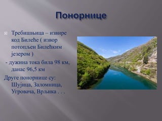  Требишњица – извире
код Билеће ( извор
потопљен Билећким
језером )
- дужина тока била 98 км,
данас 96,5 км
Друге понорнице су:
Шујица, Заломница,
Угровача, Врљика . . .
 