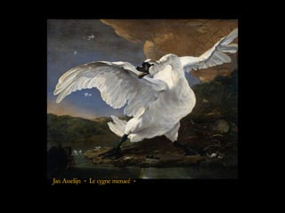 Jan Asselijn « Le cygne menacé »
 