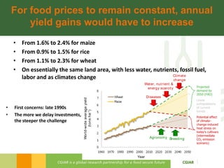 Rijsberman cgiar science overview funders forum 2-11-2012