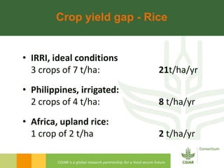 Rijsberman cgiar science overview funders forum 2-11-2012