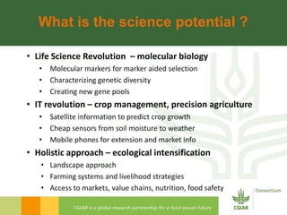 Rijsberman cgiar science overview funders forum 2-11-2012