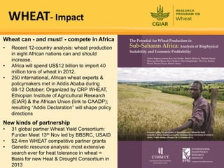 Rijsberman cgiar science overview funders forum 2-11-2012