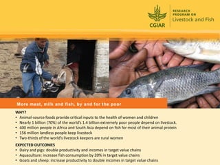 Rijsberman cgiar science overview funders forum 2-11-2012