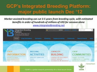 Rijsberman cgiar science overview funders forum 2-11-2012