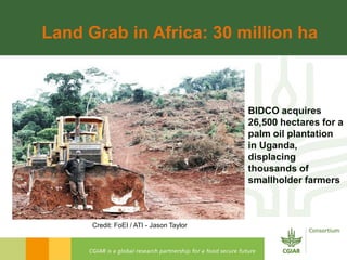 Rijsberman cgiar science overview funders forum 2-11-2012