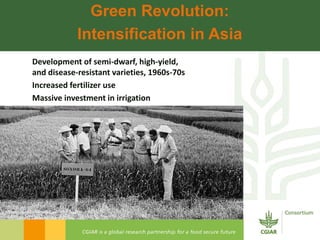 Rijsberman cgiar science overview funders forum 2-11-2012