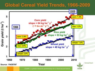 Global Cereal Yield Trends, 1966-2009
                                                                                    ...