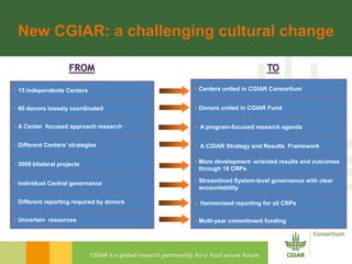 Rijsberman gcard2  foresight