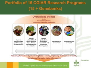 Rijsberman gcard2  foresight