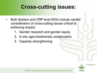 Rijsberman gcard2  foresight