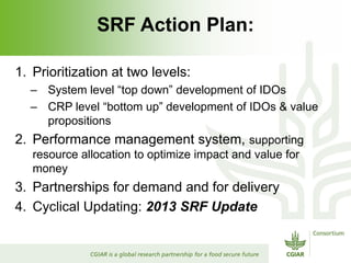 Rijsberman srf action plan 2 nov 2012 punta de este
