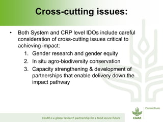 Rijsberman srf action plan 2 nov 2012 punta del este