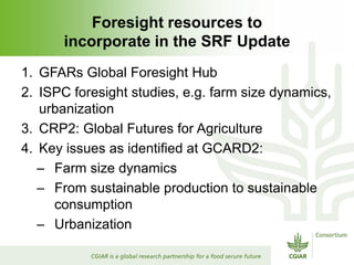 Rijsberman srf action plan 2 nov 2012 punta del este