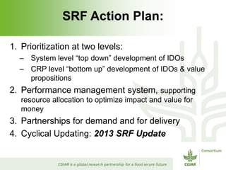 Rijsberman srf action plan 2 nov 2012 punta del este