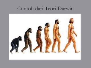 Contoh dari Teori Darwin
 