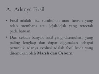 A. Adanya Fosil
• Fosil adalah sisa tumbuhan atau hewan yang
  telah membatu atau jejak-jejak yang tercetak
  pada batuan.
• Dari sekian banyak fosil yang ditemukan, yang
  paling lengkap dan dapat digunakan sebagai
  petunjuk adanya evolusi adalah fosil kuda yang
  ditemukan oleh Marsh dan Osborn.
 