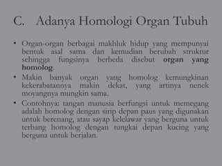 C. Adanya Homologi Organ Tubuh
• Organ-organ berbagai makhluk hidup yang mempunyai
  bentuk asal sama dan kemudian berubah struktur
  sehingga fungsinya berbeda disebut organ yang
  homolog.
• Makin banyak organ yang homolog kemungkinan
  kekerabatannya makin dekat, yang artinya nenek
  moyangnya mungkin sama.
• Contohnya: tangan manusia berfungsi untuk memegang
  adalah homolog dengan sirip depan paus yang digunakan
  untuk berenang, atau sayap kelelawar yang berguna untuk
  terbang homolog dengan tungkai depan kucing yang
  berguna untuk berjalan.
 