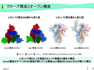 S-タンパク質は1.1千残基のタンパク質鎖の3量体で構成
Closed構造はすべてのRBD領域が閉じている構造open構造はB (RBD) のみが開いた構造
S-タンパク質をRBD側から見た図 S-タンパク質を横から見た図
open構造 (6VYB)
closed構造 (6VXX) open構造 (6VYB)
closed構造 (6VXX)
Chain A Chain B Chain C 色が濃い領域は各ChainにおけるRBD (Thr333-Pro527) 領域
クローズ構造とオープン構造
33
2022/6/14
 