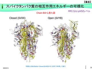 35
Closed (6VXX) Open (6VYB)
スパイクタンパク質の相互作用エネルギーの可視化
MP2.5/cc-pVDZレベル
Chain-Bから見た図
2022/6/14
可視化はBioStation Viewerを64GBメモリのPCで利用して実行
【富岳】
 