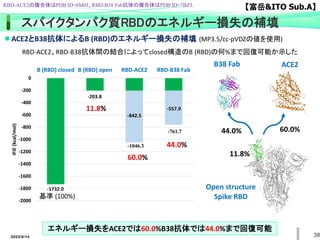 38
-1732.0
-203.8
-842.5
-557.9
-2000
-1800
-1600
-1400
-1200
-1000
-800
-600
-400
-200
0
B (RBD) closed B (RBD) open RBD-ACE2 RBD-B38 Fab
IFIE
(kcal/mol)
-1046.3
-761.7 60.0%
44.0%
Open structure
Spike RBD
B38 Fab ACE2
11.8%
エネルギー損失をACE2では60.0%B38抗体では44.0%まで回復可能
ACE2とB38抗体によるB (RBD)のエネルギー損失の補填 (MP3.5/cc-pVDZの値を使用)
RBD-ACE2、RBD-B38抗体間の結合によってclosed構造のB (RBD)の何%まで回復可能か示した
60.0%
44.0%
基準 (100%)
11.8%
スパイクタンパク質RBDのエネルギー損失の補填
2022/6/14
RBD-ACE2の複合体はPDB ID=6M0J、RBD-B38 Fab抗体の複合体はPDB ID=7BZ5.
【富岳&ITO Sub.A】
 