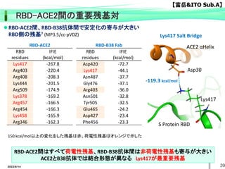 RBD-B38 Fab
RBD
residues
IFIE
(kcal/mol)
Asp420 -72.7
Lys417 -44.1
Asn487 -37.7
Gly476 -37.1
Arg403 -36.0
Asn501 -32.8
Tyr505 -32.5
Glu465 -24.2
Asp427 -23.4
Phe456 -23.3
RBD-ACE2間、RBD-B38抗体間で安定化の寄与が大きい
RBD側の残基7 (MP3.5/cc-pVDZ)
RBD-ACE2
RBD
residues
IFIE
(kcal/mol)
Lys417 -267.8
Arg403 -220.4
Arg408 -208.3
Lys444 -201.5
Arg509 -174.9
Lys378 -169.2
Arg457 -166.5
Arg454 -166.3
Lys458 -165.9
Arg346 -162.3
Lys417 Salt Bridge
Lys417
Asp30
ACE2 αHelix
S Protein RBD
-119.3 kcal/mol
RBD-ACE2間はすべて荷電性残基、RBD-B38抗体間は非荷電性残基も寄与が大きい
ACE2とB38抗体では結合形態が異なる Lys417が最重要残基
150 kcal/mol以上の変化をした残基は赤、荷電性残基はオレンジで示した
RBD-ACE2間の重要残基対
39
【富岳&ITO Sub.A】
2022/6/14
 