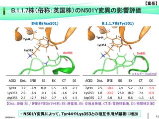 41
Tyr501
Tyr44
Lys353
Asn501
Tyr44
Lys353
ACE2 Dist. IFIE ES EX CT DI
Tyr44 3.2 -2.9 0.0 0.5 -1.4 -2.1
Lys353 2.9 -3.4 -0.1 0.6 -1.6 -2.4
Asp355 2.7 12.7 14.9 0.7 -1.5 -1.5
ACE2 Dist. IFIE ES EX CT DI
Tyr44 2.5 -10.6 -7.4 5.2 -3.1 -5.4
Lys353 1.8 -23.9 -27.0 18.9 -7.4 -8.4
Asp355 2.7 6.0 8.2 0.6 -1.3 -1.5
・ N501Y変異によって、Tyr44やLys353との相互作用が顕著に増加
B.1.1.7株（俗称：英国株）のN501Y変異の影響評価
野生株(Asn501) B.1.1.7株(Tyr501)
【Dist.：距離（Å） / IFIEをPIEDAで分割; ES：静電項、EX：交換反発項、CT項：電荷移動項、DI：相関補正項】
エネルギー (kcal/mol)
2022/6/14
【富岳】
 