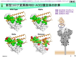 2022/6/14 63
新型コロナ変異株RBD-ACE2複合体の計算
【富岳】
Wild Type
Delta Omicron
Alpha 黄緑：結合界面（平均4Å以下）
赤色：変異箇所（界面の外側）
黄色：変異箇所（界面）
GROMACSを使ったMDシミュレーションは慶應大の泰岡グループによる. / OmicronのRBD部はAlphaFold2を援用してモデリング.
 