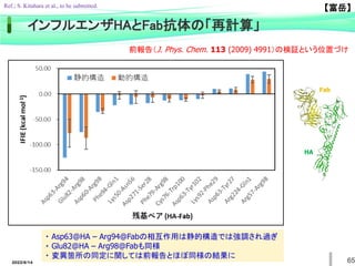 2022/6/14 65
インフルエンザHAとFab抗体の「再計算」
【富岳】
Ref.; S. Kitahara et al., to be submitted.
前報告（J. Phys. Chem. 113 (2009) 4991）の検証という位置づけ
Fab
HA
・ Asp63@HA – Arg94@Fabの相互作用は静的構造では強調され過ぎ
・ Glu82@HA – Arg98@Fabも同様
・ 変異箇所の同定に関しては前報告とほぼ同様の結果に
 