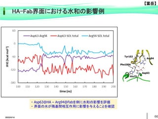 2022/6/14 66
HA-Fab界面における水和の影響例
【富岳】
・ Asp63@HA – Arg94@Fabを例に水和の影響を評価
・ 界面の水が残基間相互作用に影響を与えることを確認
Arg94
Tyr102
Asp63
His75
Phe100A
 
