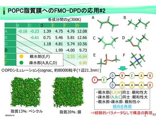 各成分間のχ(300K)
A B
C D
E F
脂質13％：ベシクル 脂質20％：膜 ⇒経験的パラメータなしで構造の再現
・親水部(E,F,W)同士：親和性大
・疎水部（A,B,C)同士：親和性大
・親水部-疎水部：親和性小
傾向を再現
B C D E F W
A -0.18 -0.23 1.39 4.75 4.76 12.08
B -0.61 0.71 5.46 5.81 12.66
C 1.18 4.81 5.74 10.56
D 1.99 -4.00 9.73
E 2.55 -6.64
F 6.00
親水部(E,F)
疎水部(A,B,C,D)
◇DPDシミュレーション[cognac, 約80000粒子(１辺21.3nm）]
82
2022/6/14
POPC脂質膜へのFMO-DPDの応用#2
 