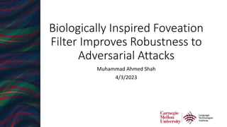 Biologically Inspired Foveation
Filter Improves Robustness to
Adversarial Attacks
Muhammad Ahmed Shah
4/3/2023
 