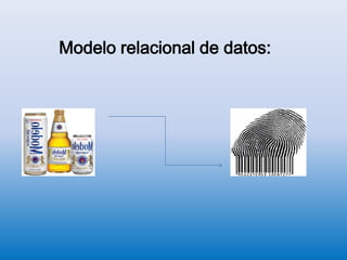 Modelo relacional de datos:     