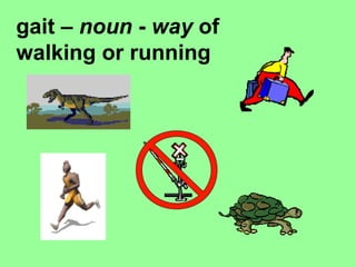 gait –  noun  -  way  of walking or running   