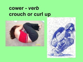   cower -  verb crouch or curl up 