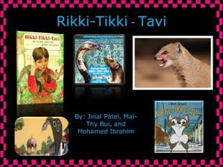 Rikki-Tikki  -  Tavi By: Jinal Patel, Mai-Thy Bui, and Mohamed Ibrahim 