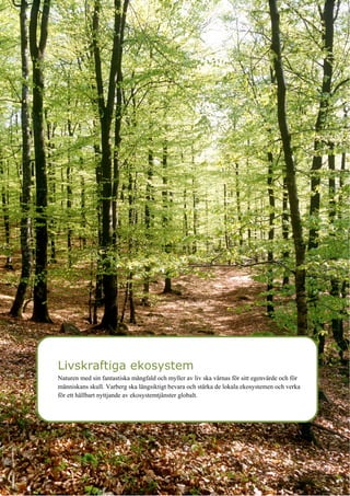 10
Livskraftiga ekosystem
Naturen med sin fantastiska mångfald och myller av liv ska värnas för sitt egenvärde och för
människans skull. Varberg ska långsiktigt bevara och stärka de lokala ekosystemen och verka
för ett hållbart nyttjande av ekosystemtjänster globalt.
 