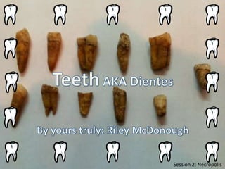 Teeth AKA Dientes By yours truly: Riley McDonough Session 2: Necropolis 