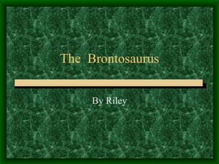 The  Brontosaurus By Riley 