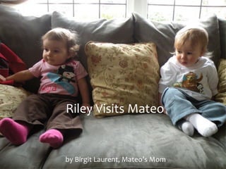 Riley	Visits	Mateo
	by	Birgit	Laurent,	Mateo’s	Mom
 