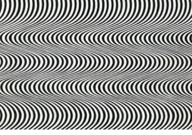 wow bridget riley start ii
