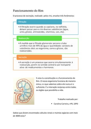 Funcionamento do Rim
O processo de excreção, realizado pelos rins, envolve três fenômenos:
E esta é a constituição e o funcionamento do
Rim. O nosso organismo funciona de maneira
única, e o que sabemos sobre ele nunca é o
suficiente. É a interação recíproca entre todos
os órgãos que possibilita a vida.
Trabalho realizado por:
 Carolina Carreira, nº9, 10ºD
Sabias que foram encontrados cálculos renais e múmias egípcias com mais
de 4000 anos?
 