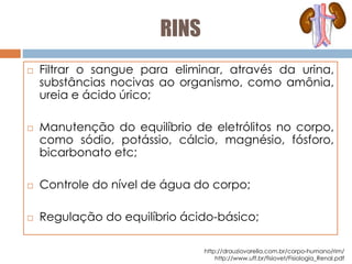 RINS
 Filtrar o sangue para eliminar, através da urina,
substâncias nocivas ao organismo, como amônia,
ureia e ácido úrico;
 Manutenção do equilíbrio de eletrólitos no corpo,
como sódio, potássio, cálcio, magnésio, fósforo,
bicarbonato etc;
 Controle do nível de água do corpo;
 Regulação do equilíbrio ácido-básico;
http://drauziovarella.com.br/corpo-humano/rim/
http://www.uff.br/fisiovet/Fisiologia_Renal.pdf
 