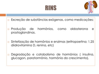 RINS
 Excreção de substâncias exógenas, como medicações;
 Produção de hormônios, como aldosterona e
prostaglandinas.
 Sintetização de hormônios e enzimas (eritropoetina; 1,25
diidrovitamina D, renina, etc)
 Degradação e catabolismo de hormônios ( insulina,
glucagon, paratormônio, hormônio do crescimento).
 