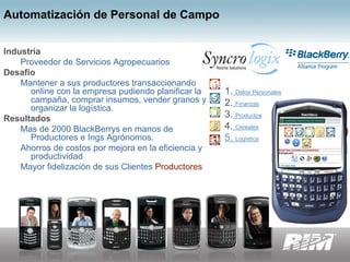 Black Berry: Momo Bs As