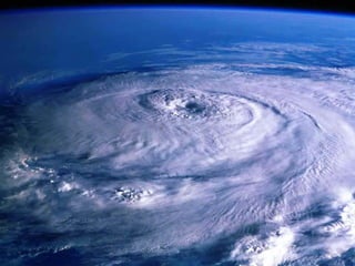 Black Berry: Momo Bs As