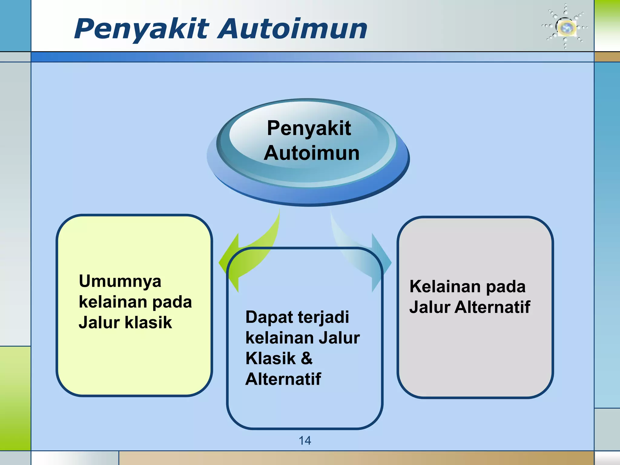 Penyakit Autoimun


                  Penyakit
                  Autoimun




Umumnya                          Kelainan pada
kelainan pada                    Jalur Alternatif
Jalur klasik    Dapat terjadi
                kelainan Jalur
                Klasik &
                Alternatif


                      14
 